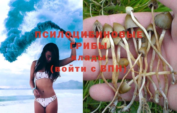 apvp Нефтекумск