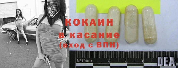 дживик Нея