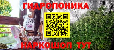 крисы Бийск