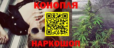 крисы Бийск