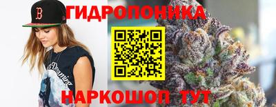 крисы Бийск