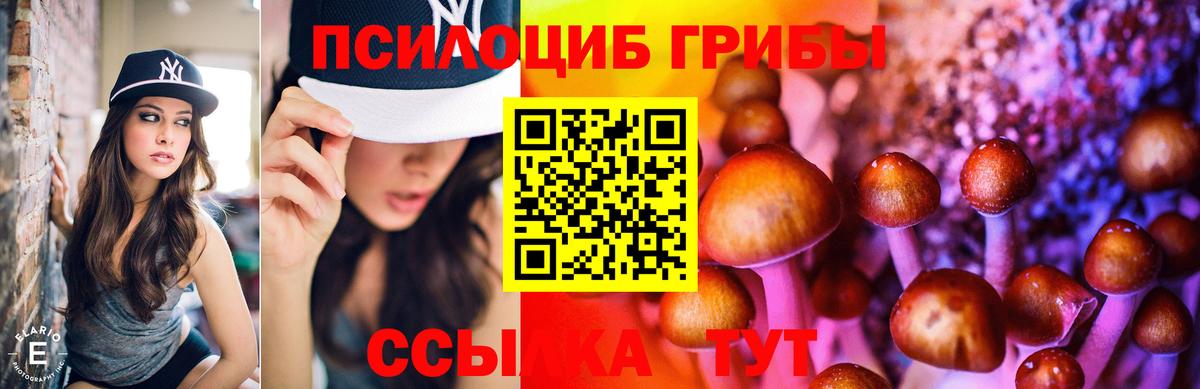 Псилоцибиновые грибы Magic Shrooms  Галлюциногенные грибы GOLDEN TEACHER  Дербент 